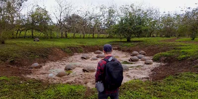 Our designer Dorian visiting the giant tortoises