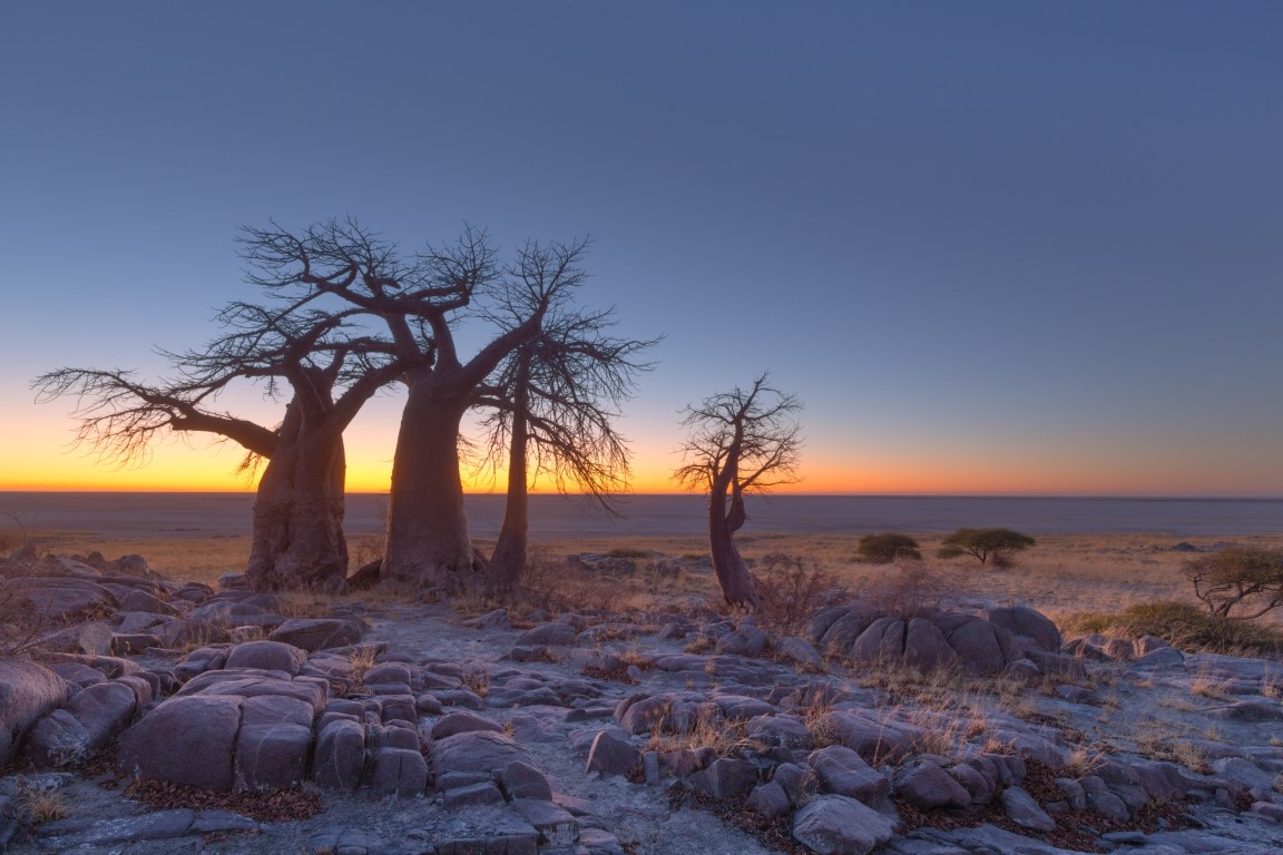 Makgadikgadi Salt Pans