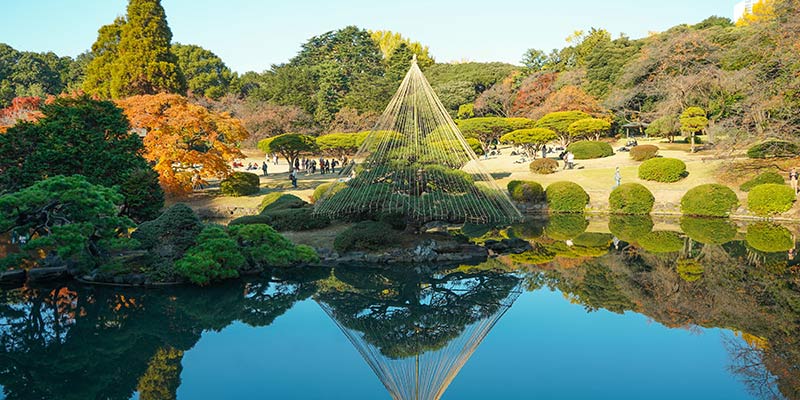 A wide angle view of a pond in a japanese garden