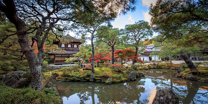 A pond in front of a teahouse surrounded by trees