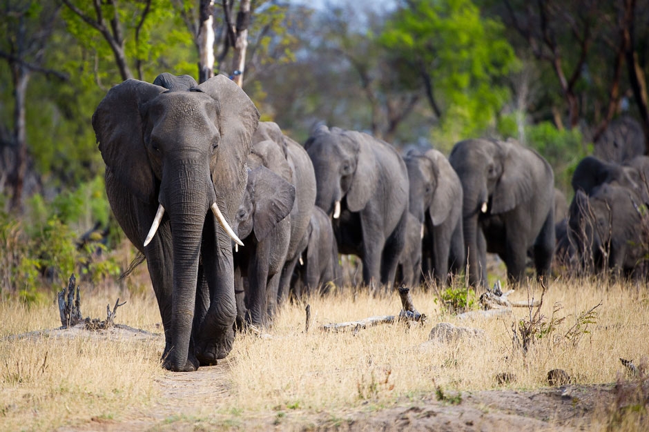 LITTLE MAKOLOLO WILDERNESS SAFARIS