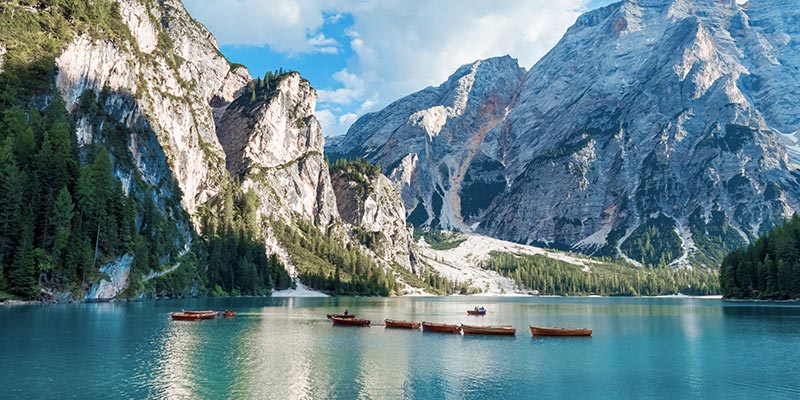Canoes lined up on a lake