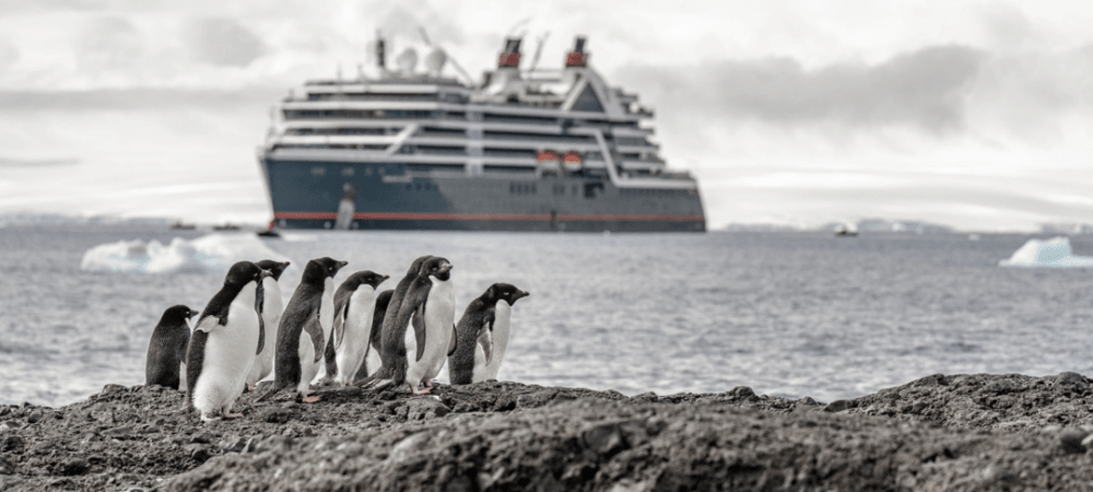 View of Seabourn Venture with penguins in the foreground