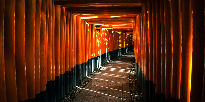 A tunnel of torii gates