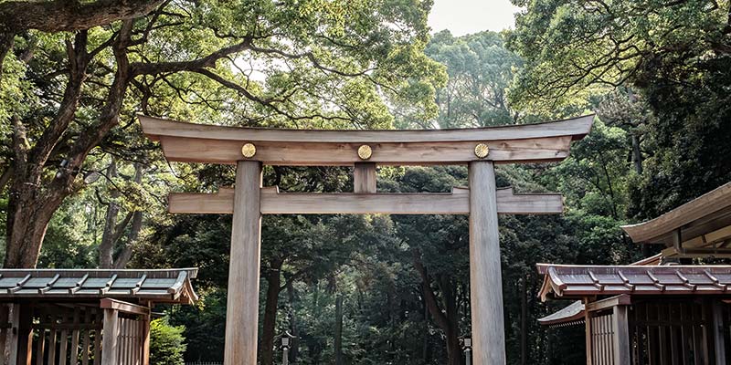 A plain wooden torii gate