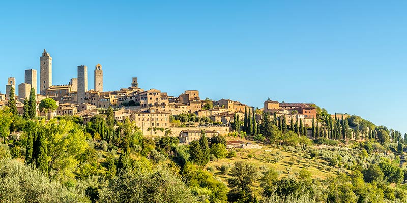 San Gimignano on a hilltop covered with shrubbery