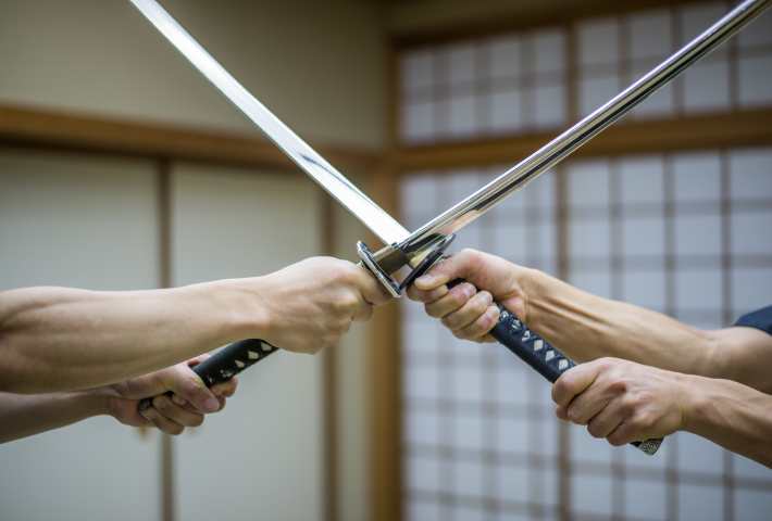 Exhilarating Japanese Swordsmanship Experience