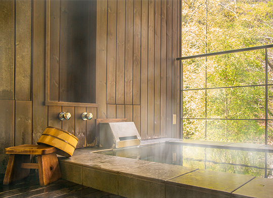 An indoor onsen overlooking a forest