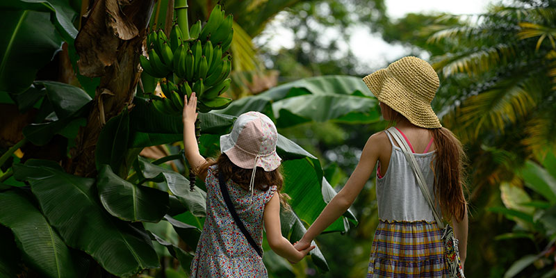 Two kids walk through the rainforest