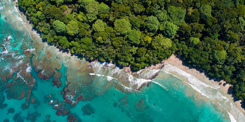 The reef of Manzanillo Beach