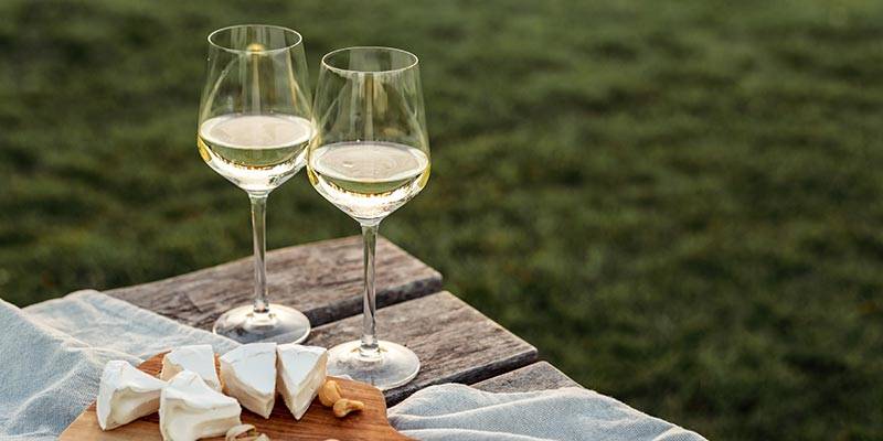 Wine &amp; Champagne Tasting in France