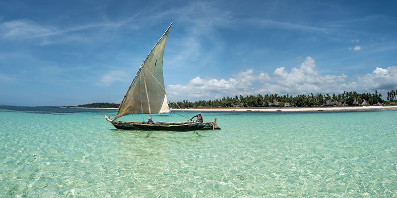 People sailing a small boat on the shore