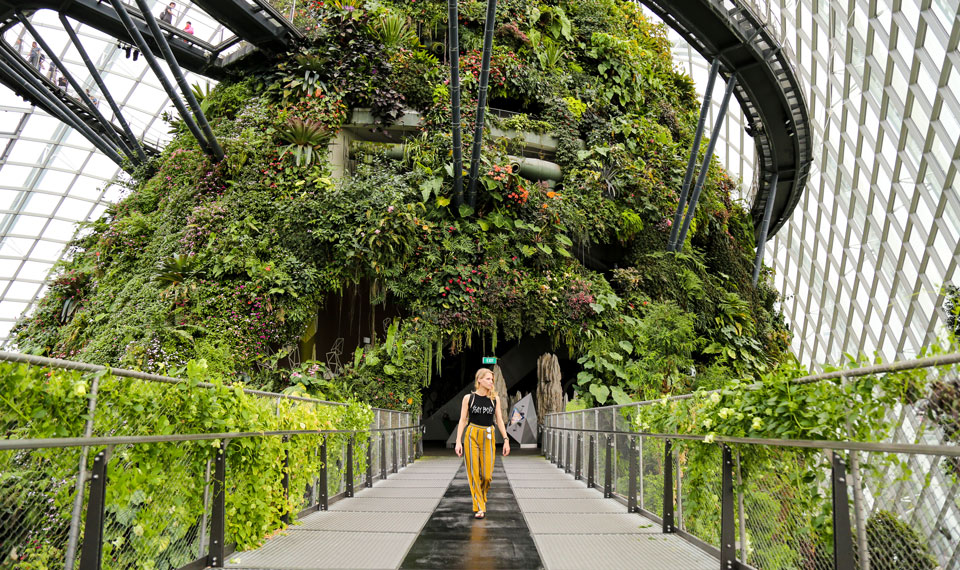 Botanical Gardens, Singapore