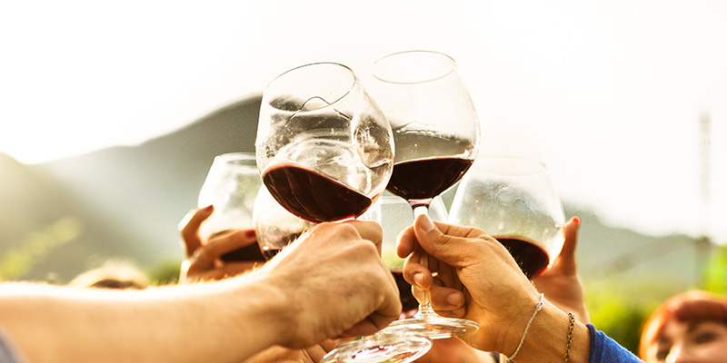 Arms raising glasses of wine for a toast