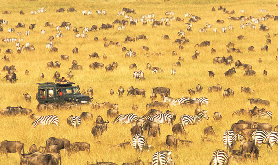 Maasai Mara National Reserve
