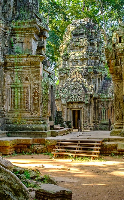 Cambodia, Ta Prohm