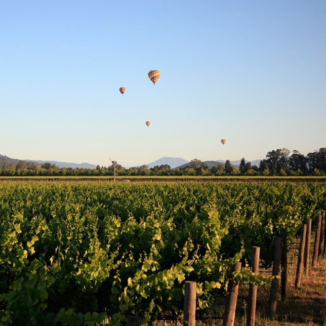 Napa Valley, California