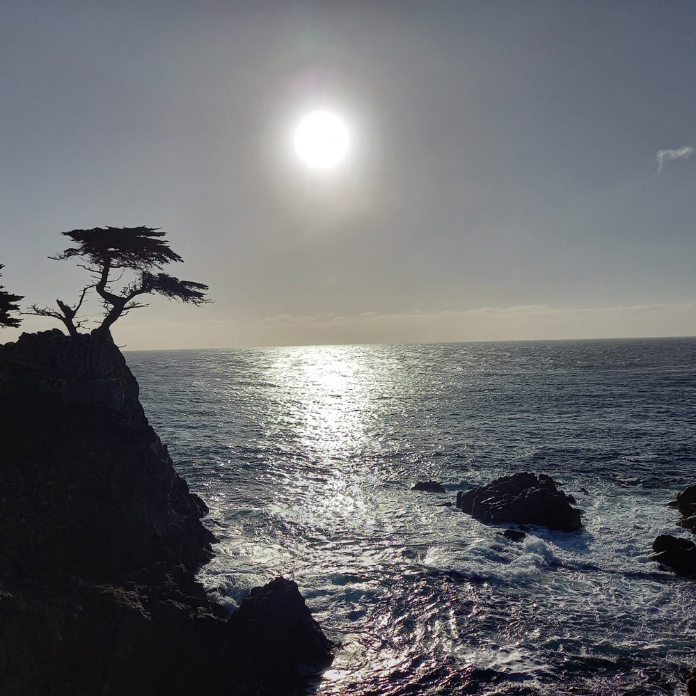 California, USA