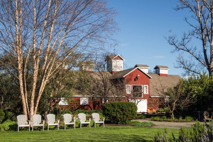 Frog's Leap Winery