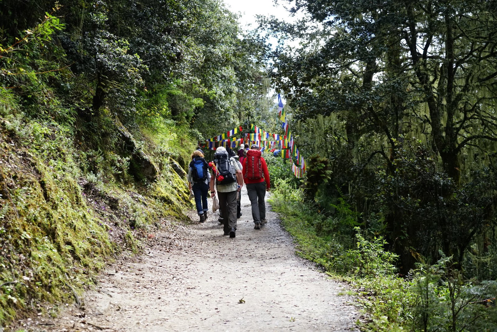 Trekking to Tiger Nest