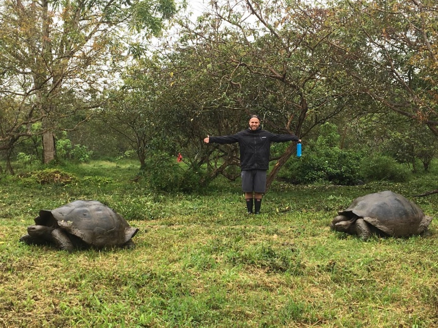 Jack hanging out with tortoise