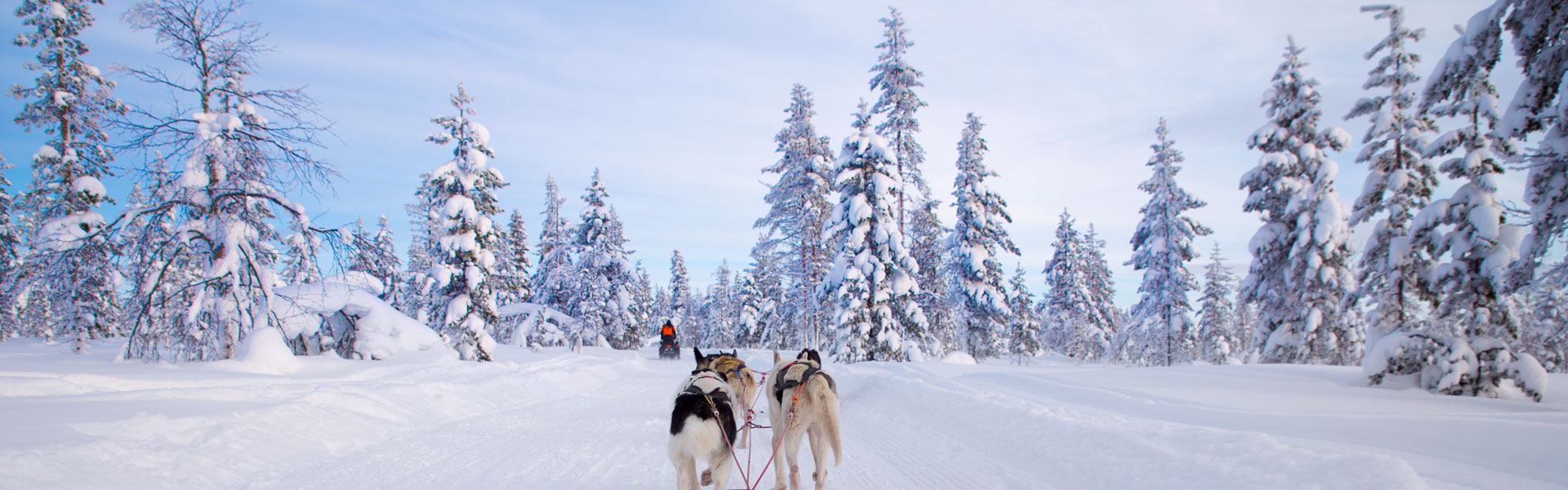 Experience Swedish Lapland
