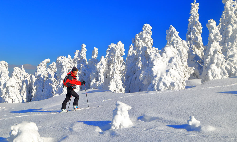 Skiing is only one of the activities on offer