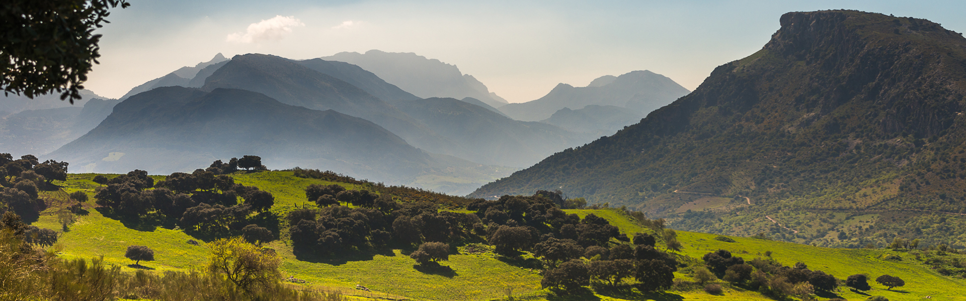 Discovering La Donaira