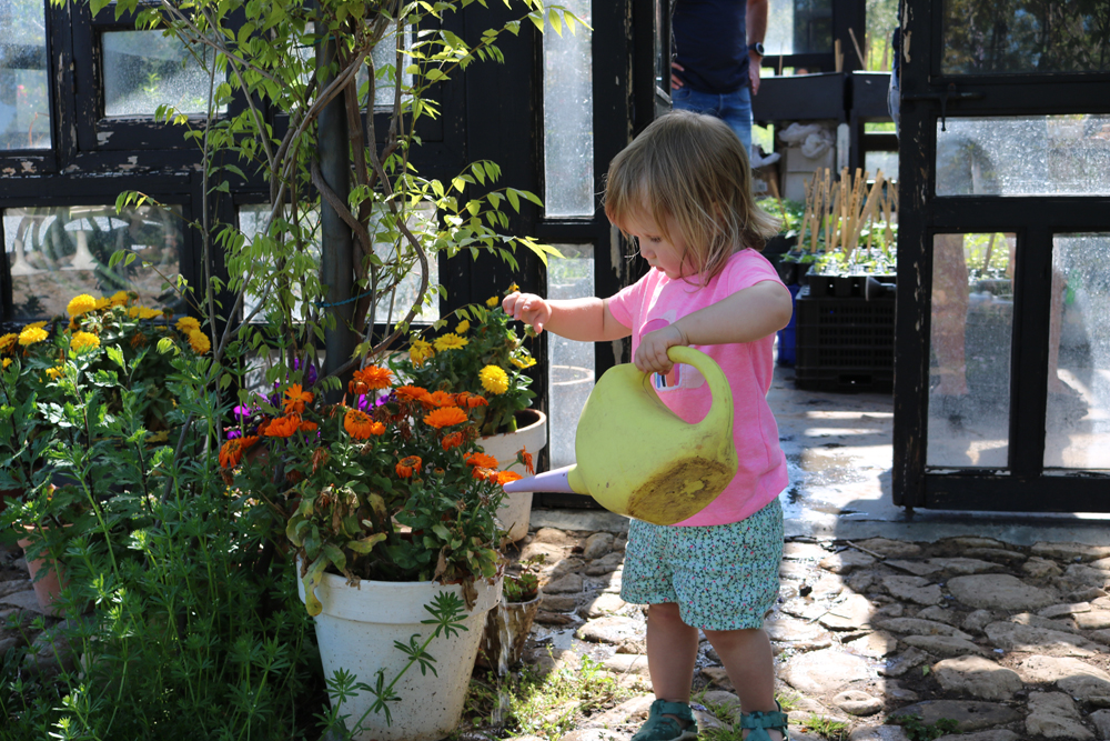 Green fingered Tiggy