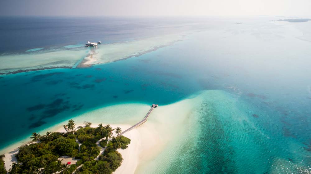 Niyama from above