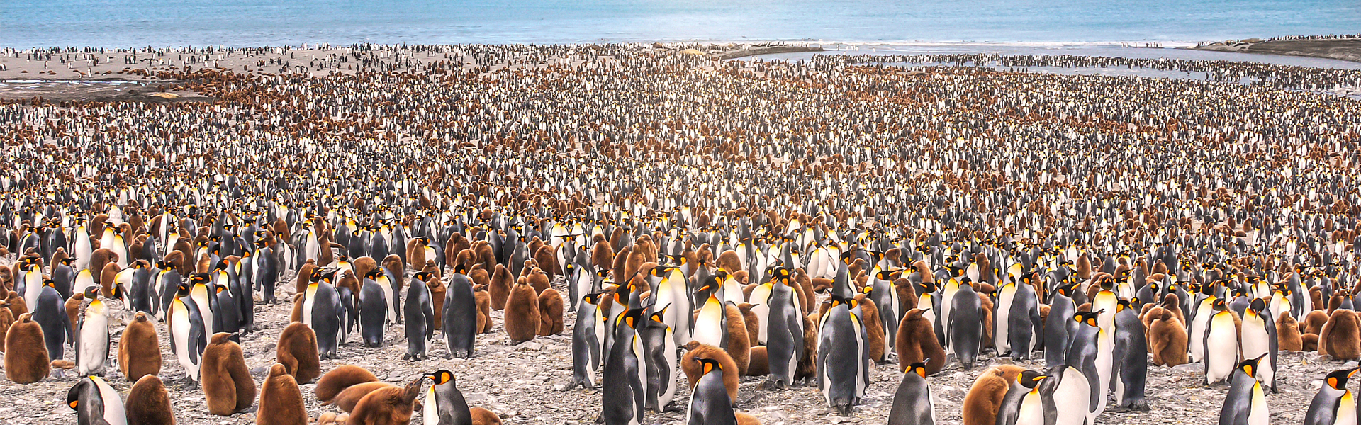 Journey to Antarctica