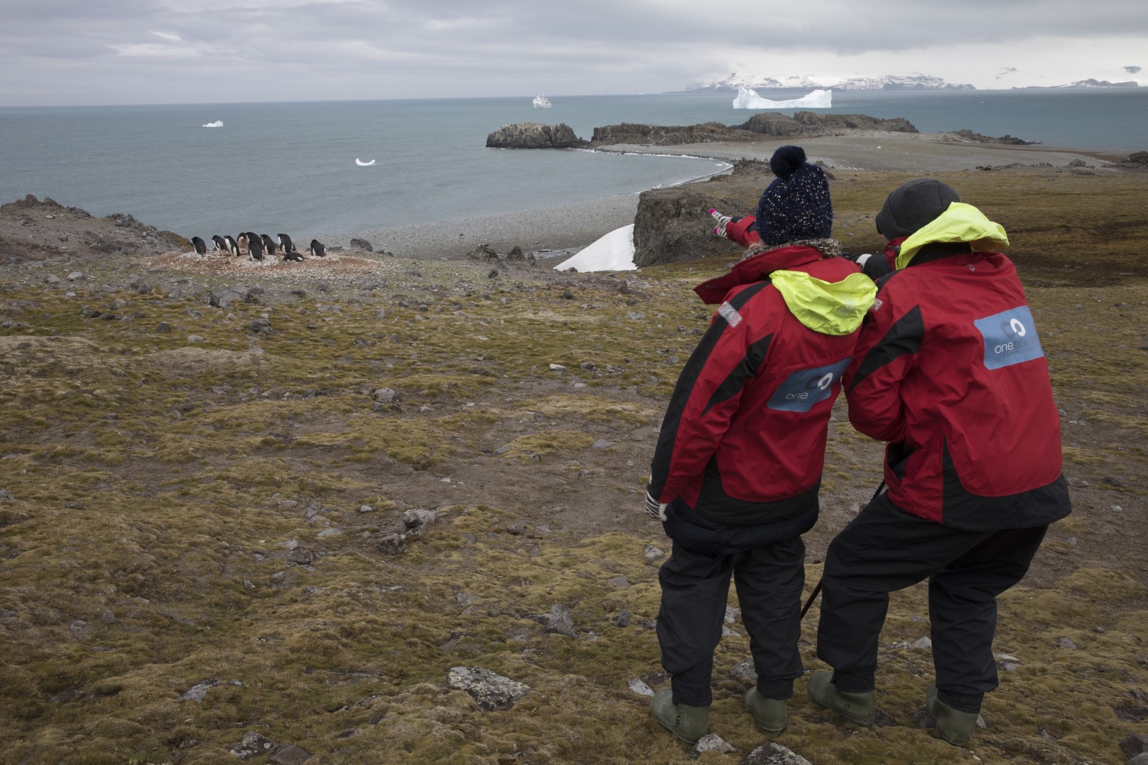 layered outfits in Antarctica