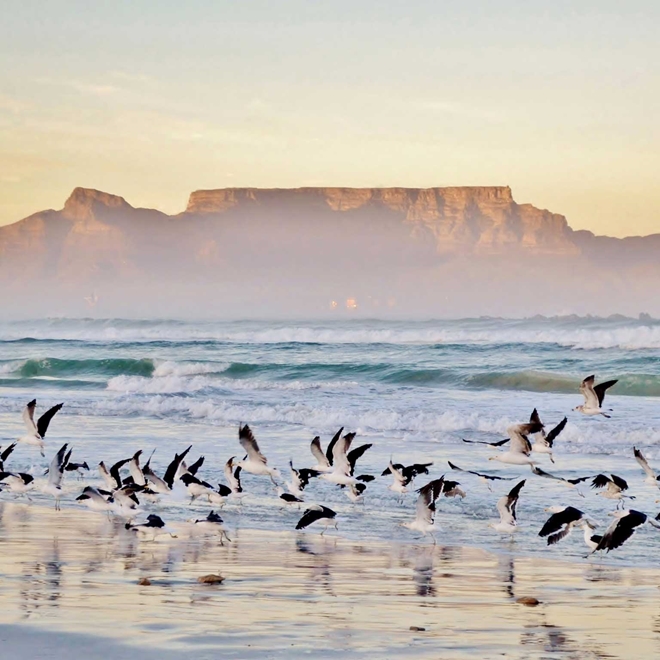 south africa