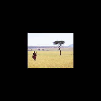Elephant Pepper Camp, Maasai Mara