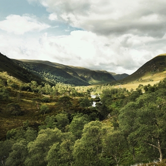 alladale scotland