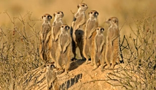Botswana