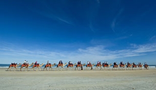 11 Unique Safaris Around the World