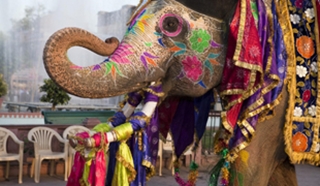 India Festival Dates