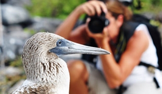 Q&A: Galapagos