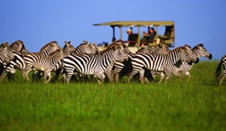 South Africa & Mauritius