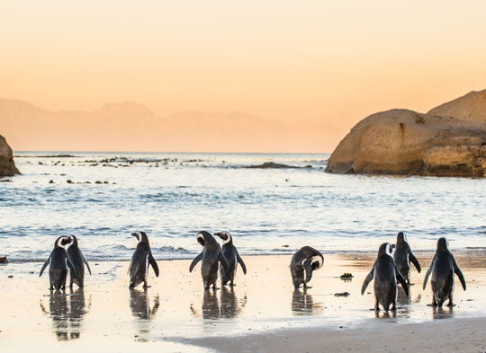 South Africa