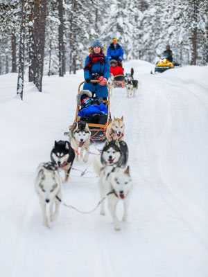 Our Guide to Lapland