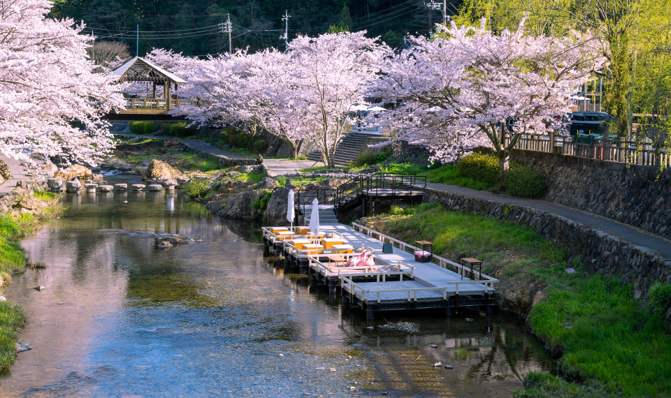 Wide shot of a tree lined river leading up to the Yumoto Onsen