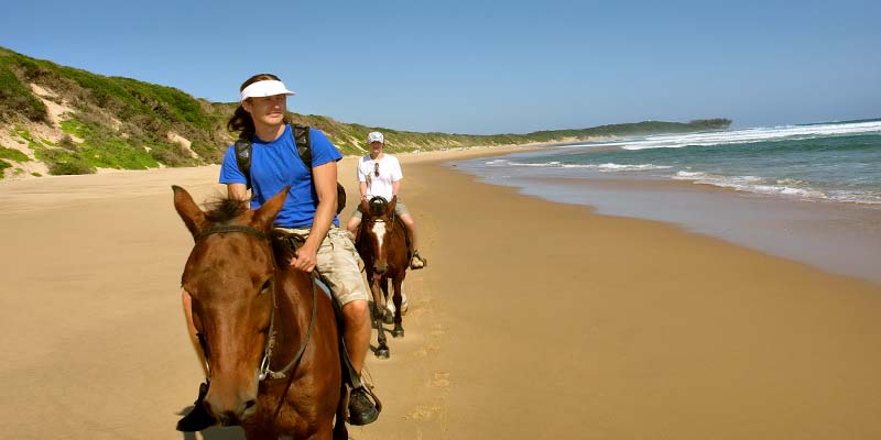 People horseback riding on the beach