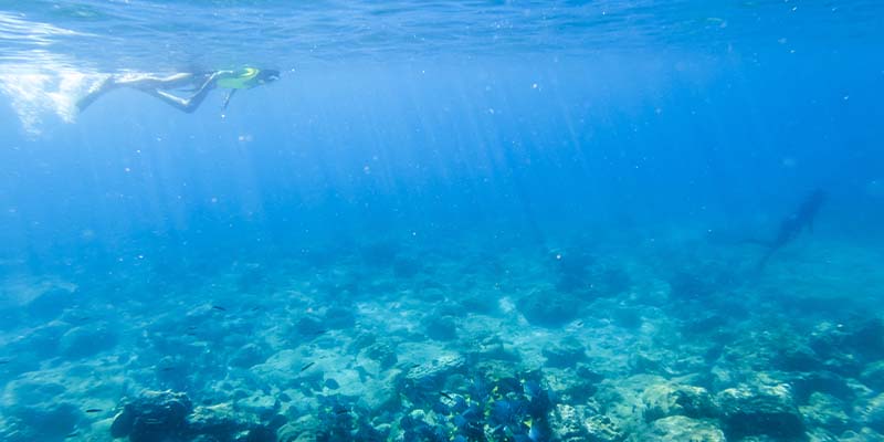 A woman snorkelling over a reef