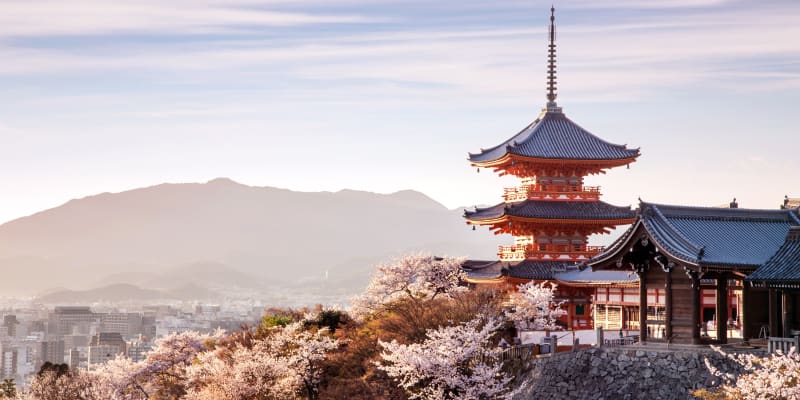 Temple on a hill in cherry blossom season