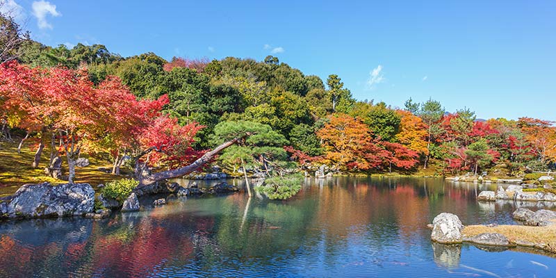 Vibrant red and yellow trees around a large pond 