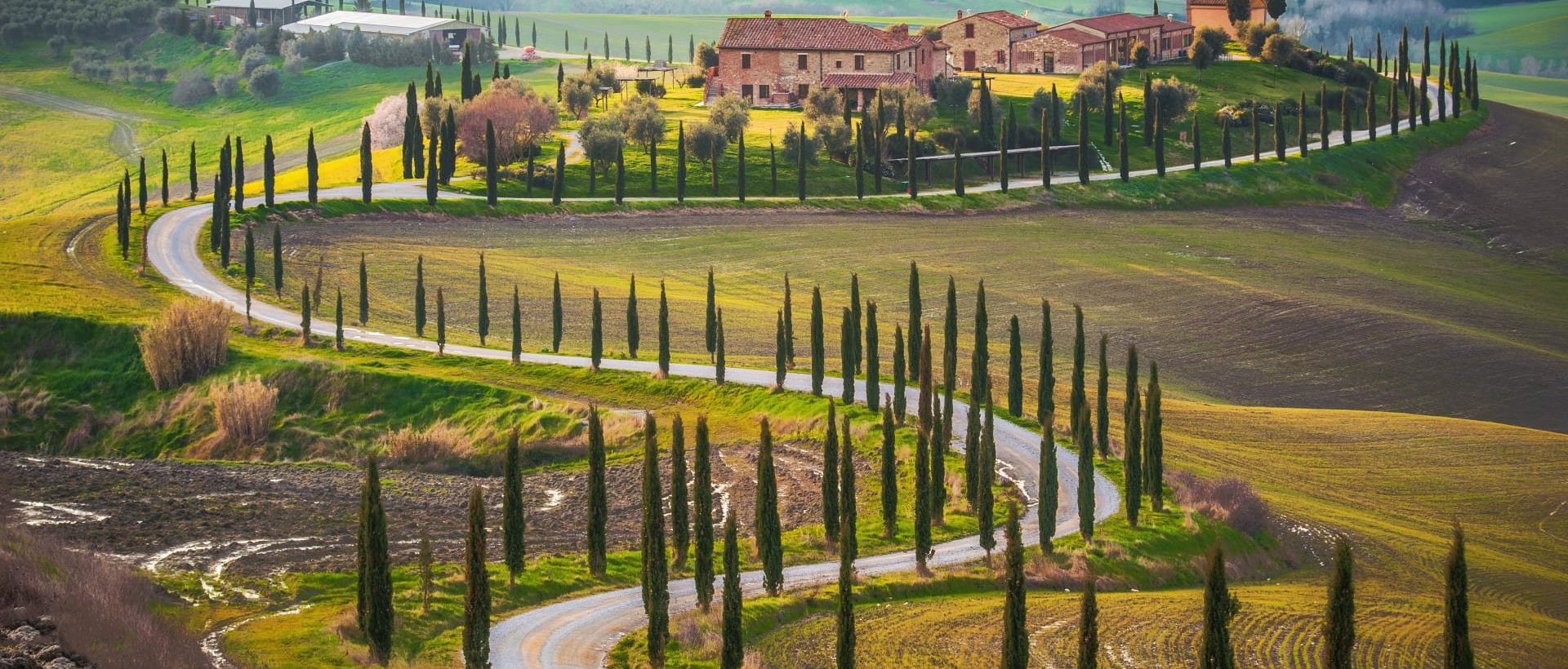 View of trees and houses in Tuscany