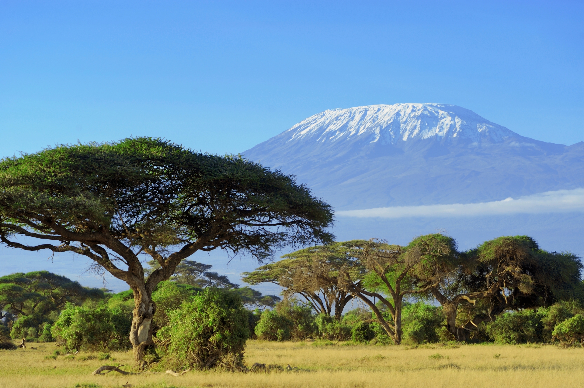 Amboseli National Park
