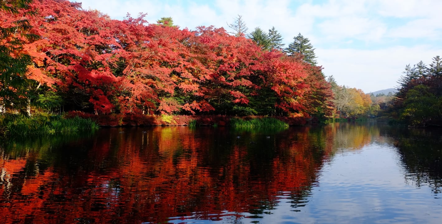 Autumn